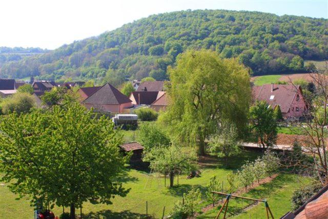 Hotel Logis Du Cheval Blanc Westhalten Exteriér fotografie